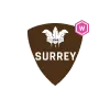 Somerset Women