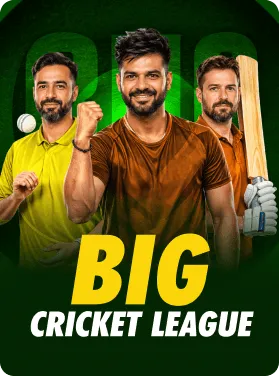 Big Cricket League